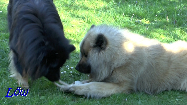 21.4.2019 - Das Spieli vom anderen ist immer das Bessere